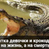 Нападение крокодила