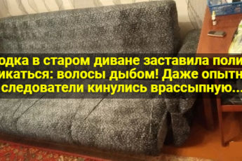 Находка в старом диване