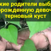Жестокие родители выбросили новорожденную девочку в терновый куст
