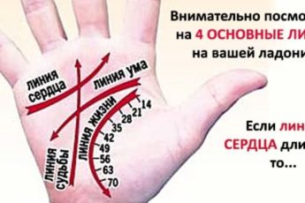 Прочти это – и ты сможешь гадать по руке самостоятельно