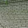 Гнездо в стене