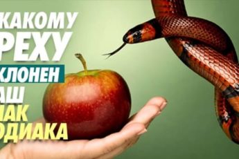 К какому греху склонен ваш знак зодиака
