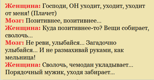 Женщина и мозг! «Господи, ОН уходит, уходит, уходит от меня»! Я пока читала, падала от Смеха!