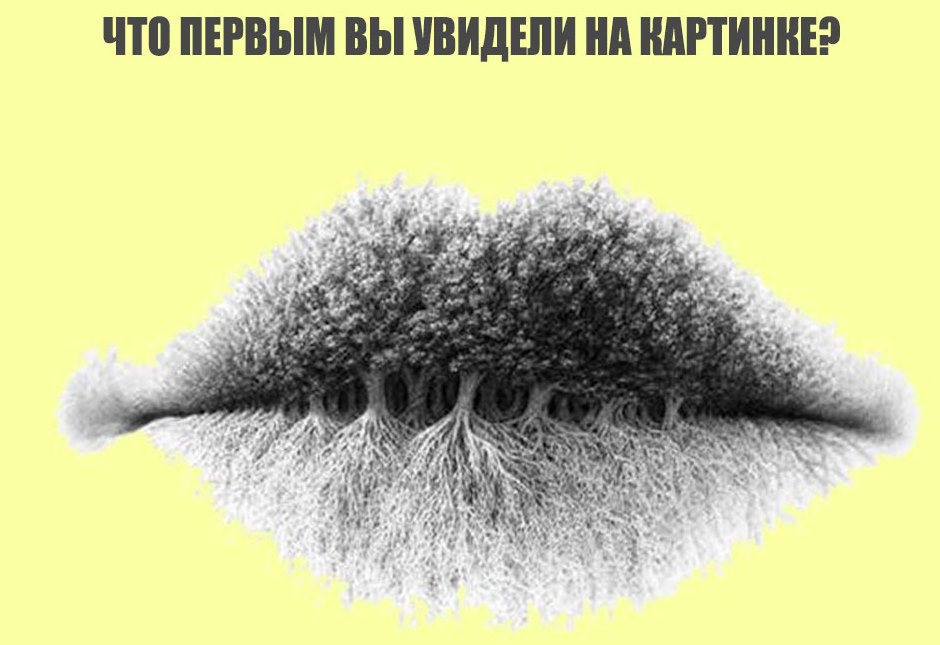 Губы, деревья, корни