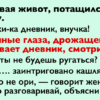 Поговори с внучкой, Дед. Это мне сказала супруга, когда я приперся с работы. — А что такое? — А почитай дневник…