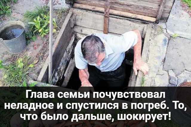 Глава семьи почувствовал неладное и спустился в погреб. То, что было дальше...