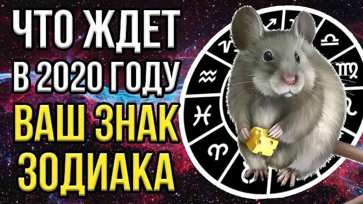 Для кого 2020 год будет самым удачным
