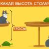 Задача для китайских школьников оказалась не по зубам многим пользователям Сети