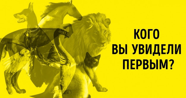 Тест Юнга: не раздумывая, назовите животное, которое вы увидели первым