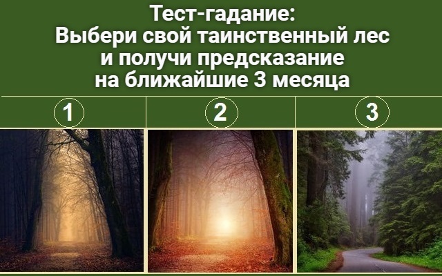 Тест-гадание: Выбери свой таинственный лес и получи предсказание на ближайшие 3 месяца