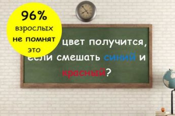 Помните ли вы эти 15 вещей, которые учили в школе?