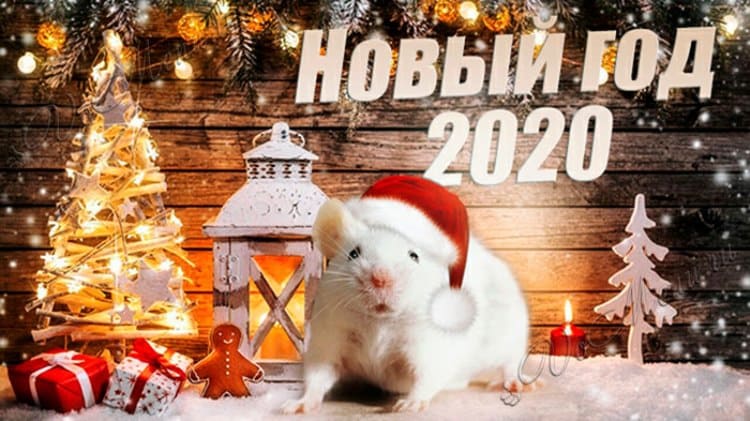 Самые удачливые имена в 2020 году