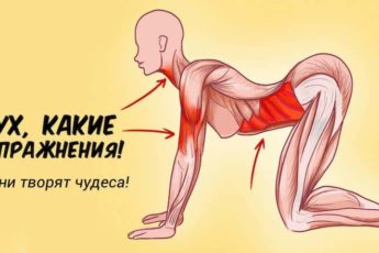 7 упражнений, которые творят чудеса с женским организмом