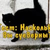 Тест: Насколько вы суеверны?