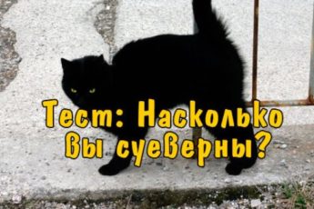Тест: Насколько вы суеверны?