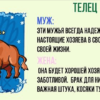 Вот как ведут себя знаки зодиака в семейной жизни! Правда, похоже?