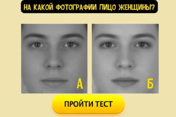 Тест на сообразительность, оцени свой мозг