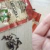 Семейный врач велел жевать сушеную гвоздику