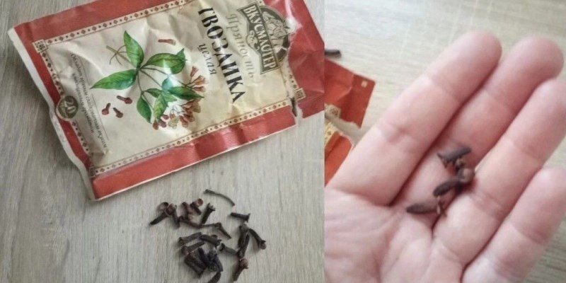 Семейный врач велел жевать сушеную гвоздику