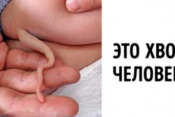 Попробуйте посмотреть на эти 17 вещей и не сказать «вау!»
