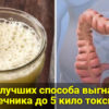 Вот 3 лучших способа выгнать из кишечника до 5 кило токсинов