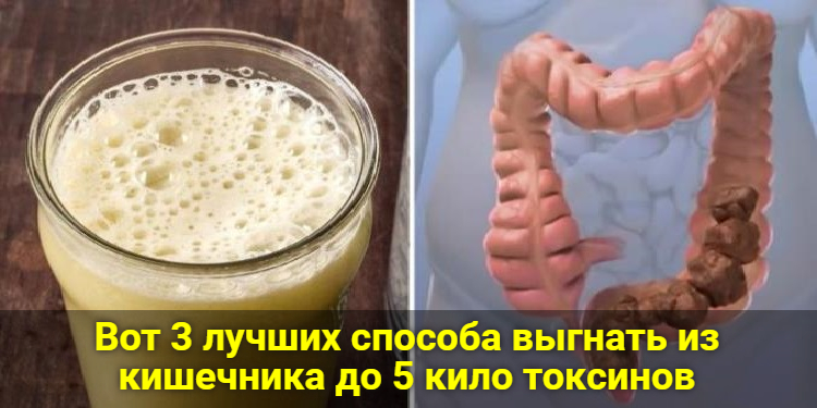 Вот 3 лучших способа выгнать из кишечника до 5 кило токсинов