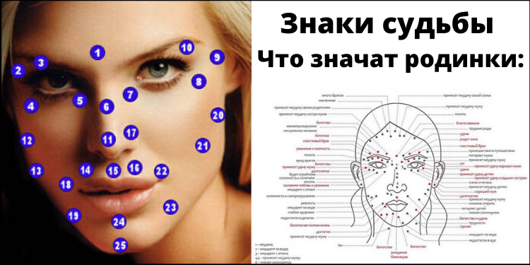 Знаки судьбы. Что значат родинки? Полезно знать