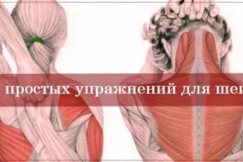 Упражнения для шеи: Освобождают от зажимов и нормализуют давление