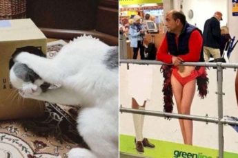 20+ фотографий, которые заставят вас посмотреть на них дважды, а то и трижды