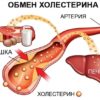До свидания холестерин, глюкоза в крови, липиды и триглицериды!