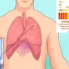 У каждого в организме присутствуют раковые клетки. Как помешать им стать опухолью?