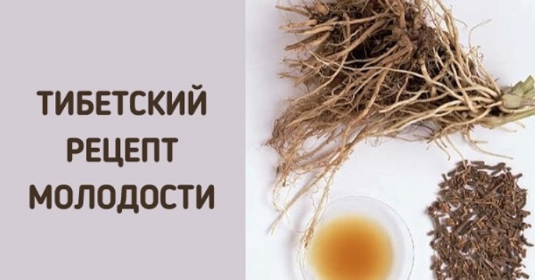 Укроп, мёд, валериана — и сосуды без изъяна!