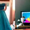 9 фотографий, которые сначала поставят вас в тупик, а затем заставят от души посмеяться