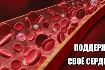 11 здоровых способов улучшить кровообращение. Поддержи свое сердце!