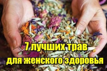7 лучших трав для женского здоровья. Они творят чудеса!