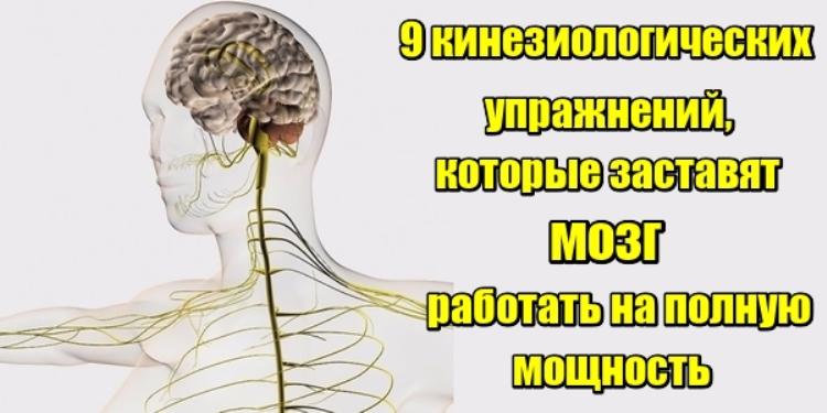 9 кинезиологических упражнений, которые заставят мозг работать на полную мощность
