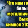 Что нам готовит белый металлический Бык - символ 2021 года