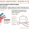 Если давление не стабильно… Как удержать артериальное давление в норме?