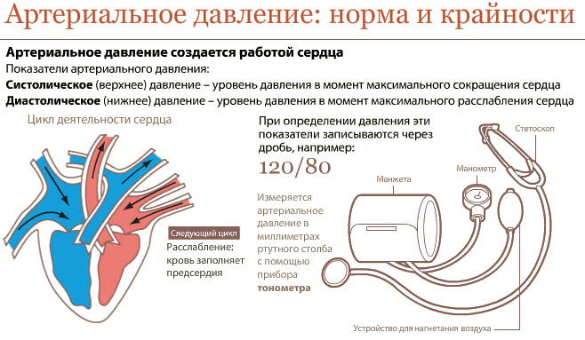 Если давление не стабильно… Как удержать артериальное давление в норме?