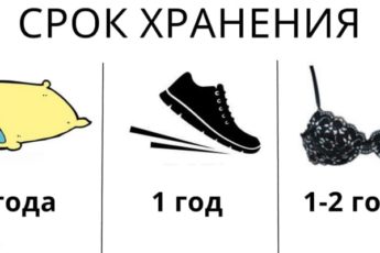 18 домашних вещей, у которых, оказывается, есть срок годности!