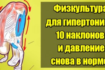 Физкультура для гипертоника: 10 наклонов — и давление снова в норме. Перенастройка организма