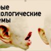 Хитрые психологические приемы — Применяйте осторожно!