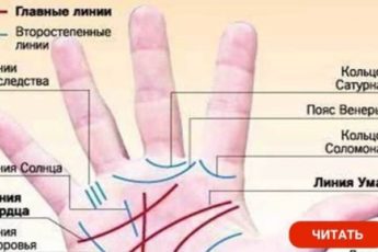 Профессия написана на вашей ладони. Не могу не согласиться с этим!