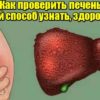 Как проверить печень: Вот простой способ узнать, здоровая ли она