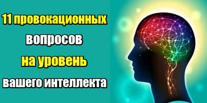 11 провокационных вопросов на уровень вашего интеллекта