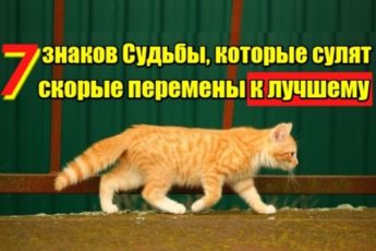 7 знаков судьбы, которые сулят скорые перемены к лучшему