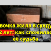Девочка жила в сундуке 12 лет: как сложилась ее судьба