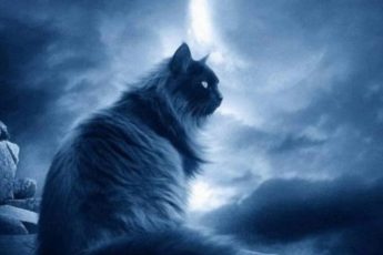 Слова-обереги, которые нужно произносить, выходя из дома