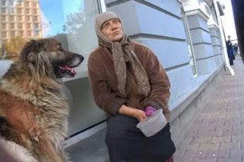 Молодой парень попросил денег у нищей старушки. Её ответ перевернул мой мир!