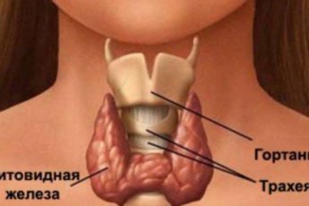 Первые признаки того, что ваша щитовидная железа не в порядке